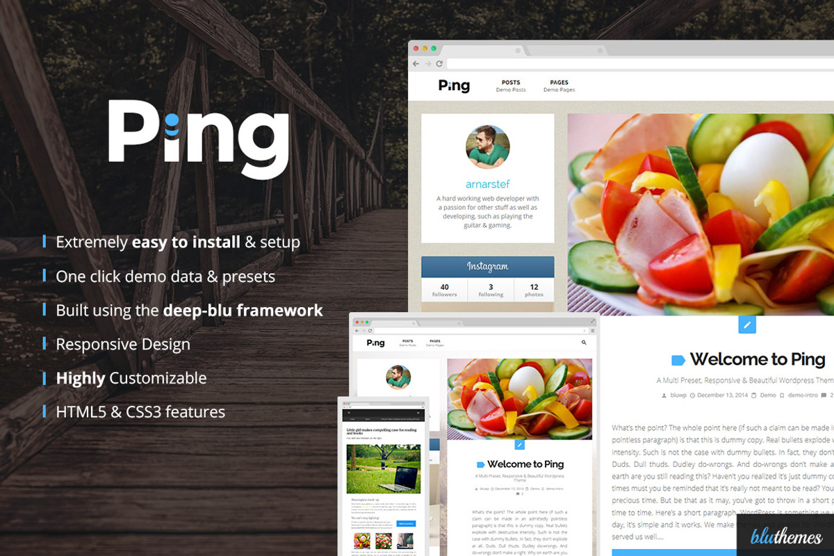 Ping | Charming Personal WP Theme, a WordPress Template by Bluthemes (Photo 1 of 3)