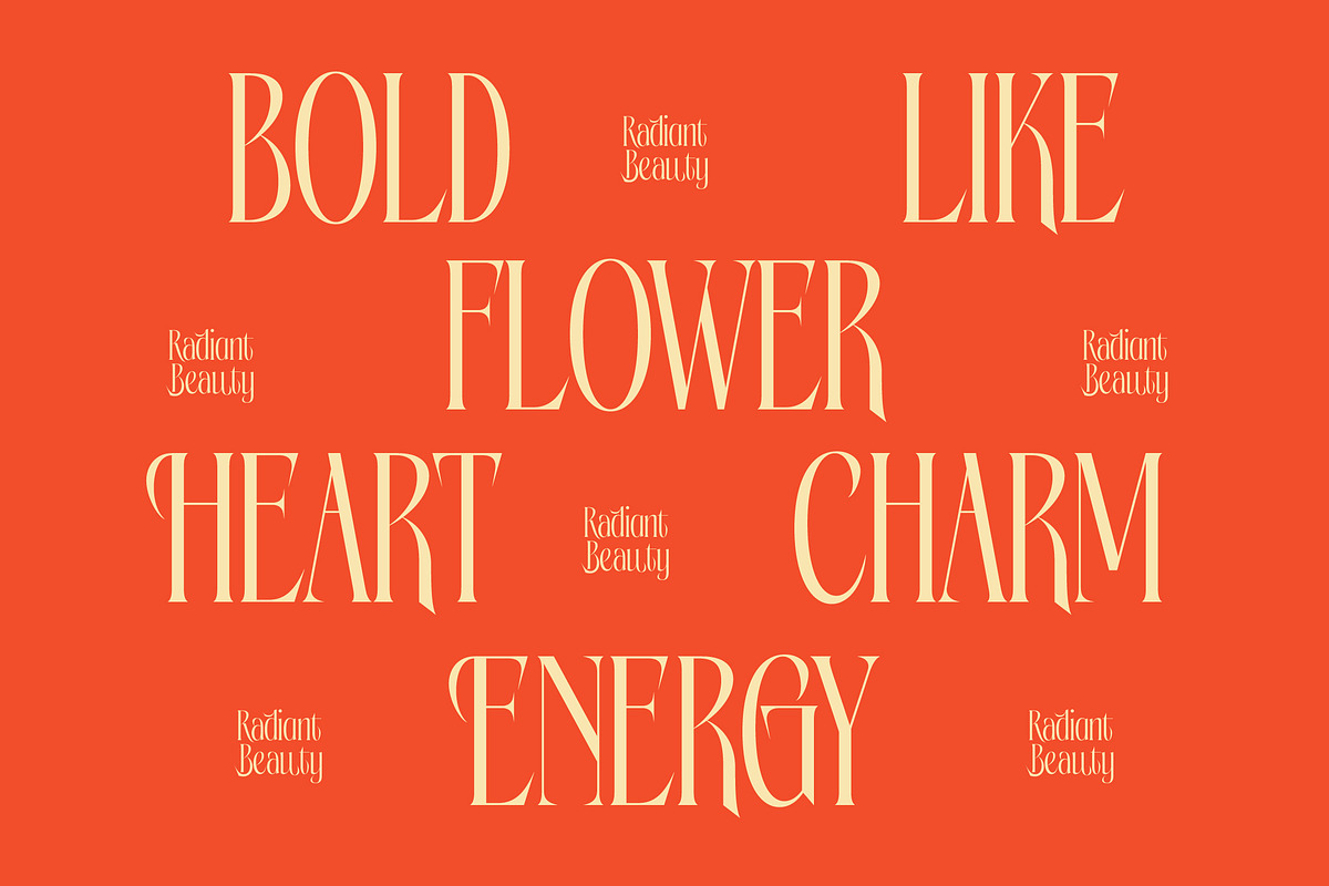 Bagena Mathew Bold Tall Serif, a Serif Font by timelesstype.co (Photo 6 of 20)