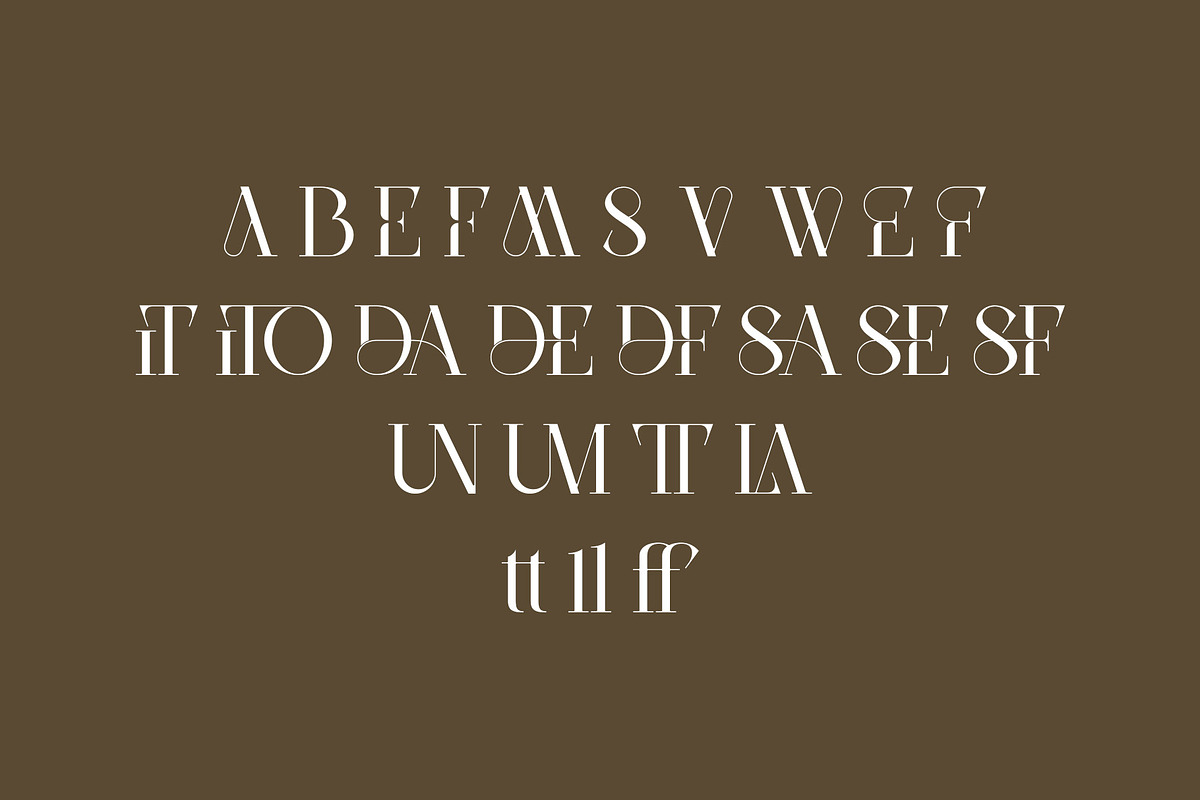 DEVITO - Modern Ligature Serif Font, a Serif Font by AnnofaType (Photo 7 of 8)