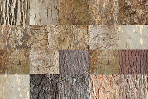 20 Tree Bark Textures