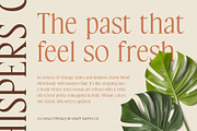 CS Chisa – Elegant Font, a Serif Font by Craft Supply Co. (Thumbnail 4 of 8)