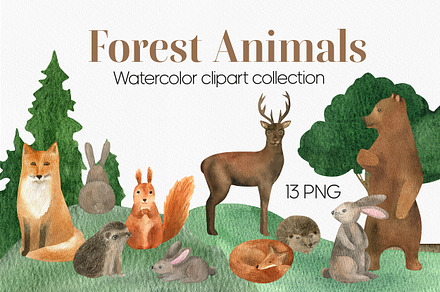 Watercolor forest animals clipart
