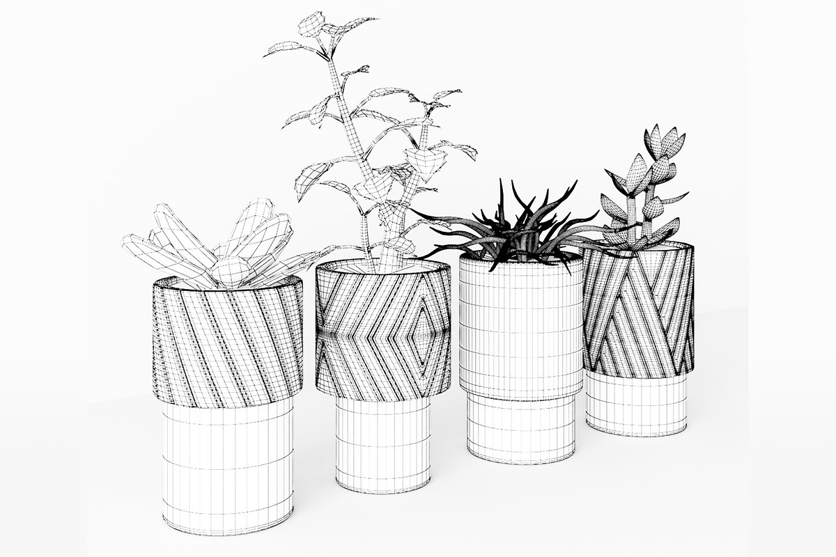 Decorative Plants, a Furniture 3D Model by 3DCargo (Photo 6 of 9)