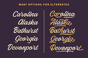 Thirtylane - Modern Script, a Script Font by Letterhend Studio (Thumbnail 3 of 9)