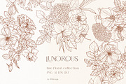 Line Floral Clipart Vector Flowers, an Illustration by whiteheartdesign (Thumbnail 1 of 12)