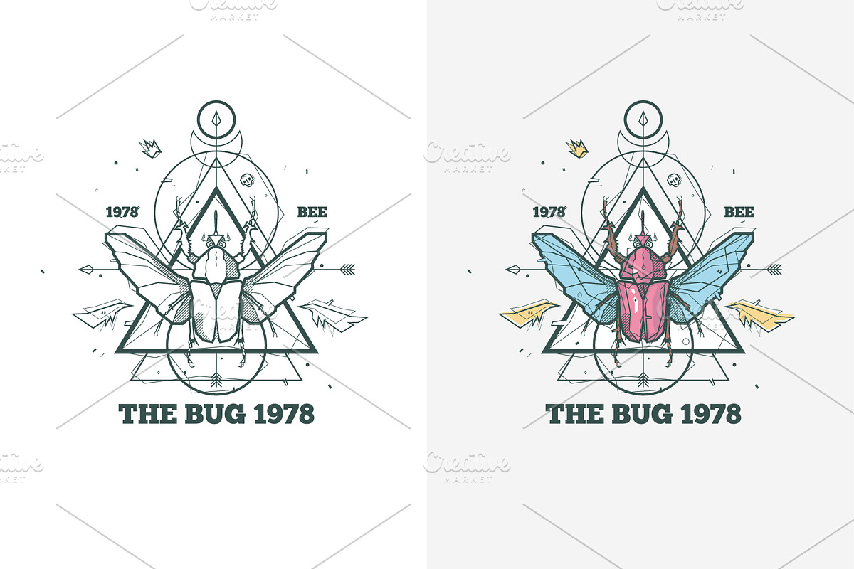 Vintage insect bug illustration, an Illustration by fet