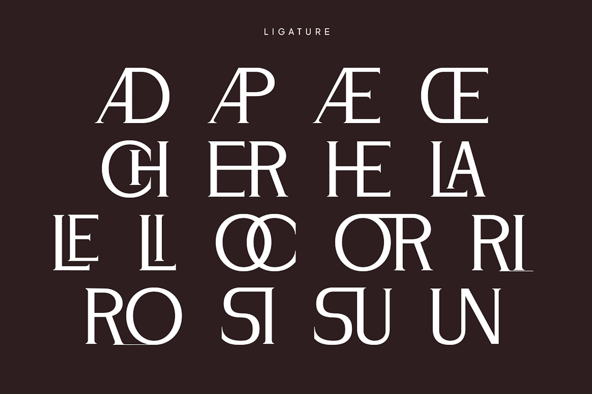 Andore - Elegant Modern Serif Font, a Serif Font by Pekotype (Photo 6 of 15)