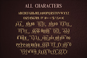 Fairy Tale Typeface, a Script Font by VozzyStock (Thumbnail 5 of 5)