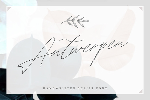 Antwerpen preview 8
