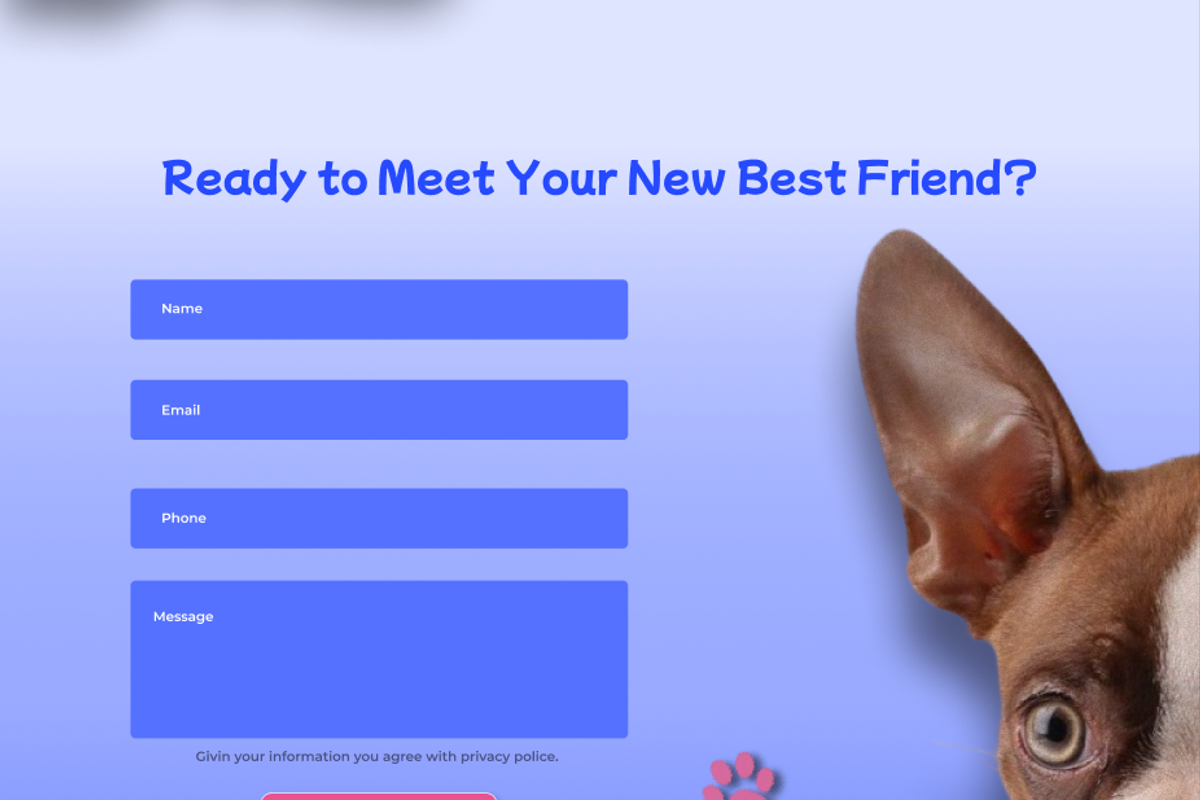 Website Template for Animal Shelter preview 3