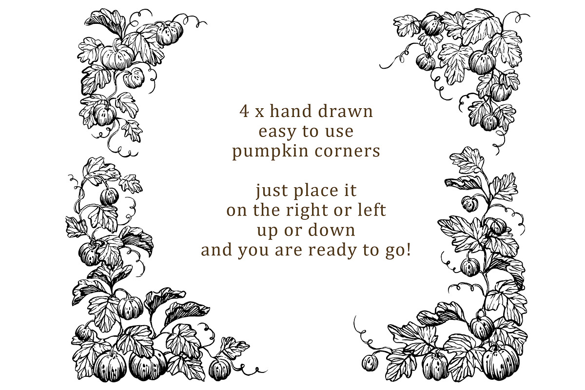 Hand drawn pumpkin illustration, a Decorative Illustration by swiejko (Photo 2 of 6)
