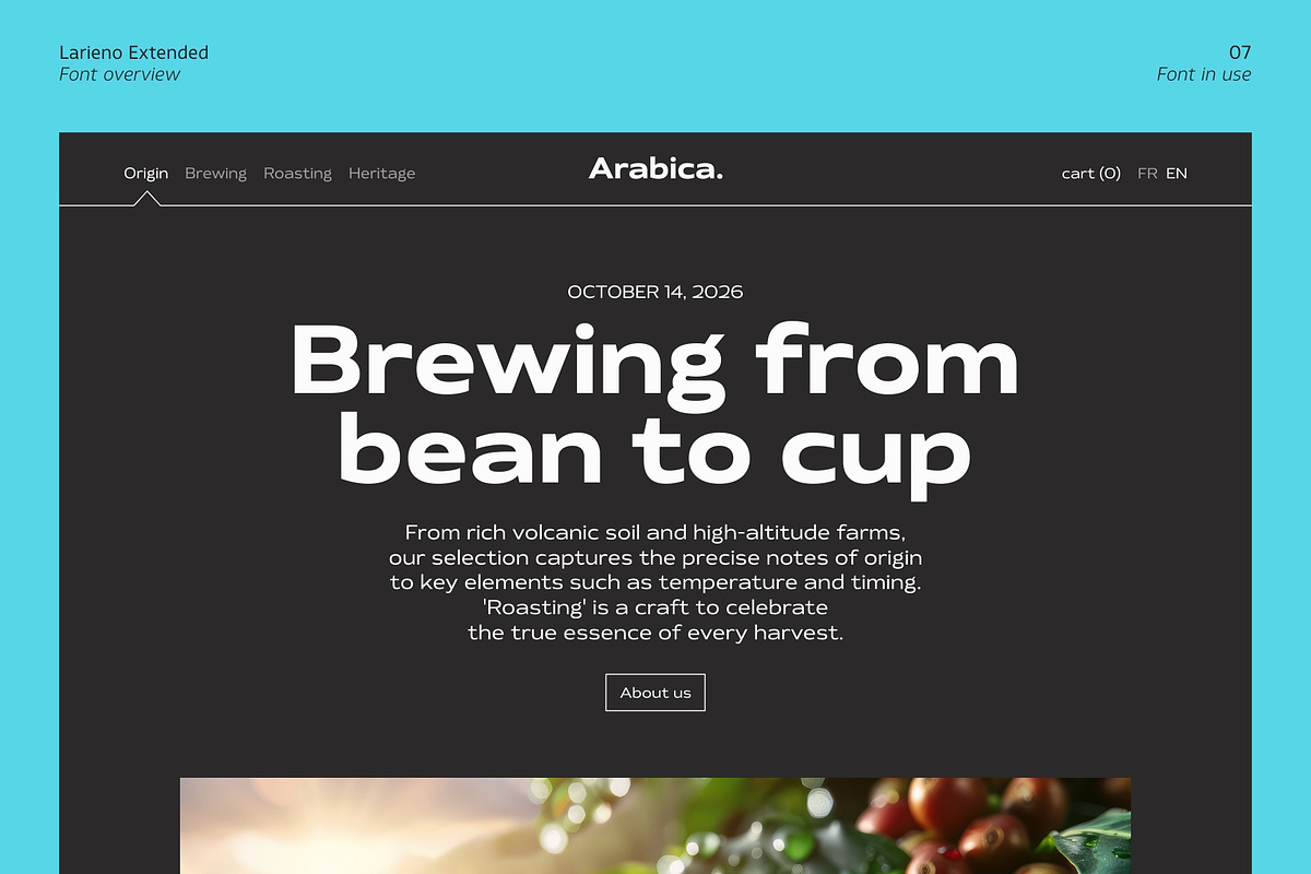 Larieno Extended, a Sans Serif Font by Zafara Studios (Photo 7 of 12)