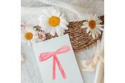 Whimsical Baby Pink Ribbon Clipart, a Decorative Illustration by Oleksandra Illustrates (Thumbnail 9 of 14)