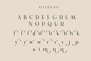 vindea Ligature Serif Typeface, a Serif Font by Humaira_std (Thumbnail 9 of 11)