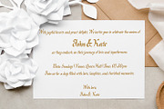 Premium Fonts Collection, a Handwritten Font by OWPictures (Thumbnail 2 of 6)