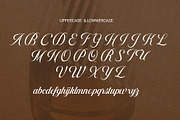 Brihoney - Modern Script Font, a Script Font by RHD Creative Studio (Thumbnail 9 of 11)