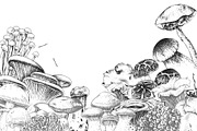 Hand drawn edible mushrooms set, a Food Illustration by handsketched (Thumbnail 10 of 10)