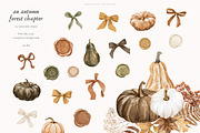 An Autumn Forest Chapter Collection, an Animal Illustration by PeDe Designs (Thumbnail 13 of 29)