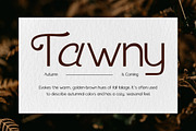 Benomore - Elegant Display Font, a Sans Serif Font by Vadovastd (Thumbnail 2 of 6)