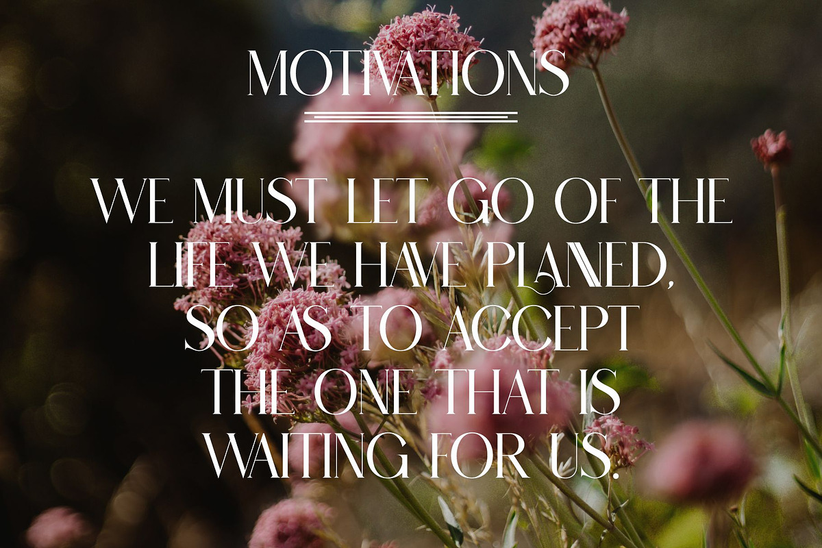 CANNERA Modern Ligature Serif, a Serif Font by Alfinart (Photo 4 of 9)