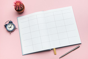 Open notebook, pen, alarm clock, and cactus on pink background s, a Business Photo by Olena Rudo