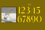 Devroon Royale, a Serif Font by zaaintype (Thumbnail 9 of 11)