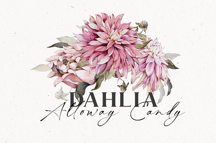 Watercolor Dahlia Floral Elements