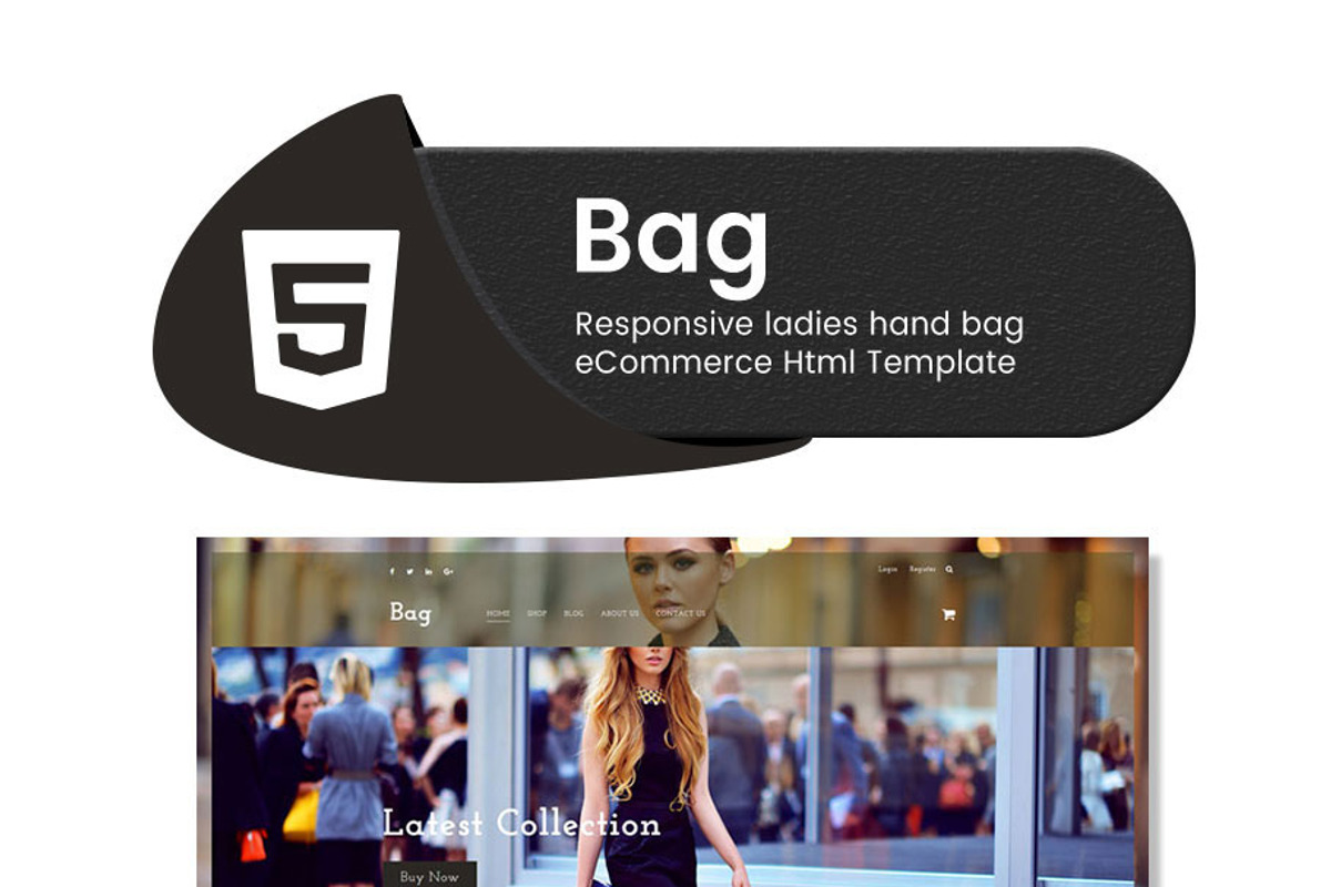 Bag - eCommerce Html Template, a Websites & App Template by ThemeTidy Shopify Agency (Photo 2 of 2)