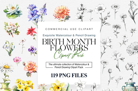 Birth Month Flowers Illustration, a Decorative Illustration by BrushstrokeArtGB
