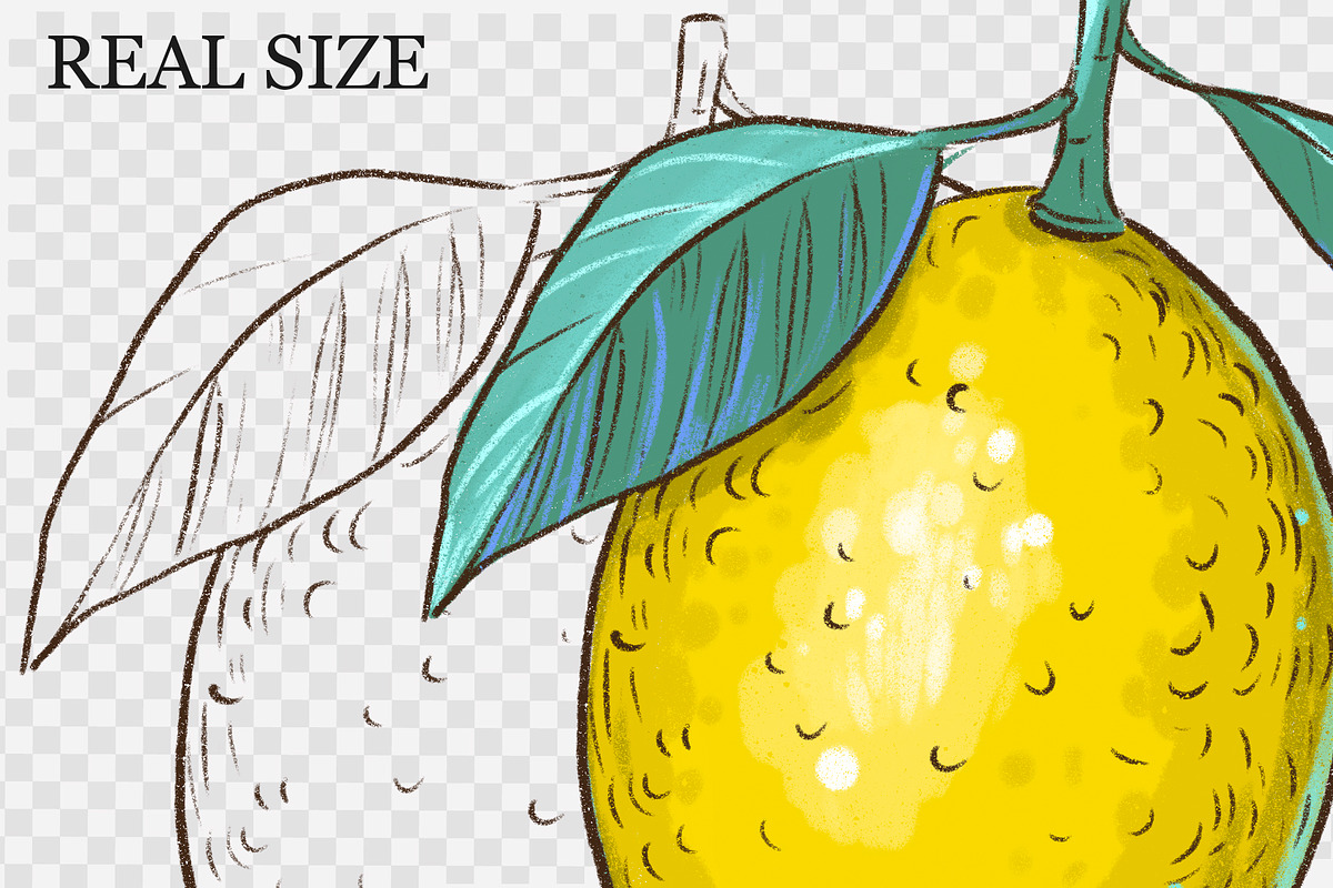 Lemon clipart, a Decorative Illustration by Aksol (Photo 4 of 4)