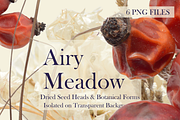 Airy Meadow — Dried Seed Heads PNG, an Object Graphic by Aga Silva (Thumbnail 6 of 10)