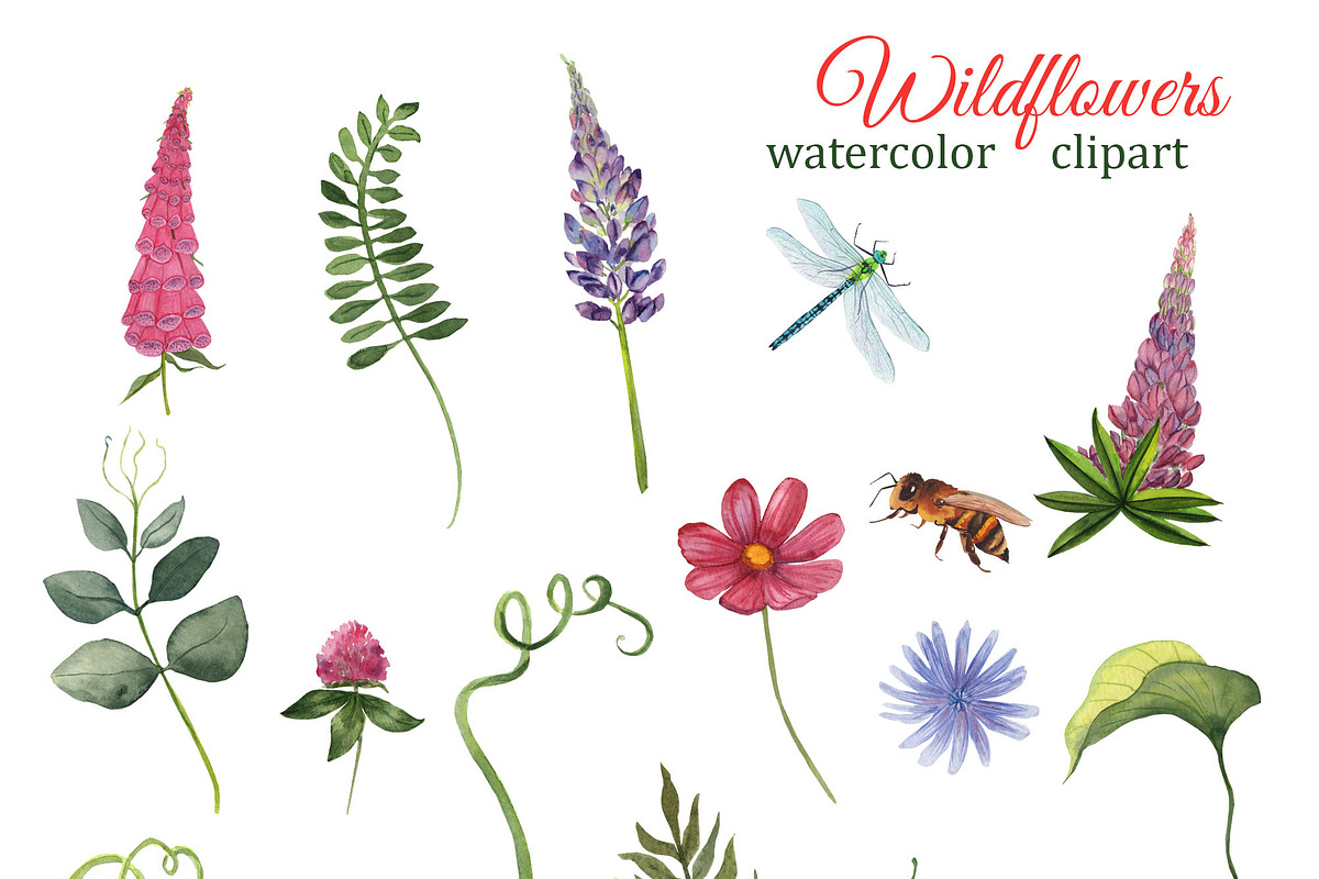 Summer Watercolor Wild Flowers, a Seasonal Illustration by s.yanyeva (Photo 3 of 11)