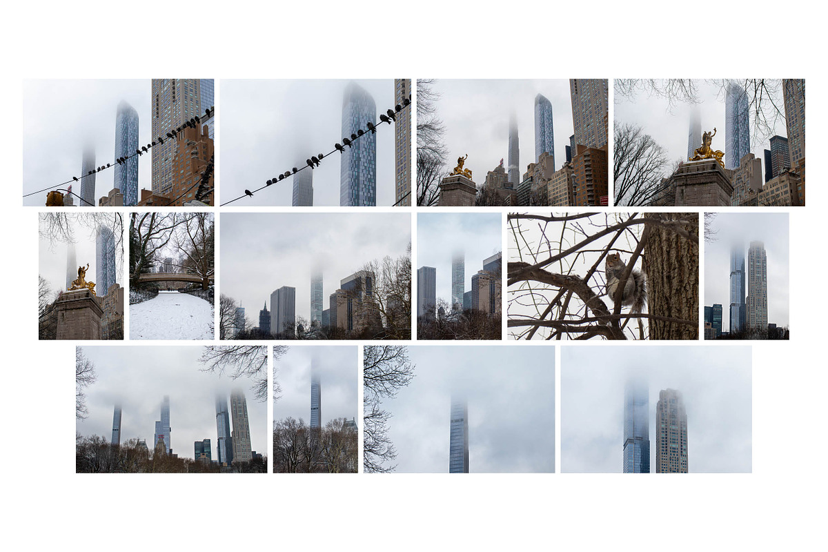 Winter In Central Park NYC Photos, an Arts & Entertainment Photo by Full Circle Design Studio (Photo 4 of 5)