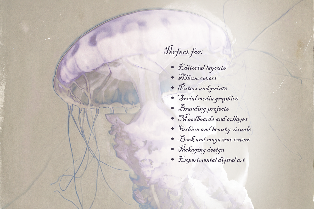 Ethereal Nature Archive Backgrounds, a Background Graphic by Natali Batu (Photo 8 of 9)