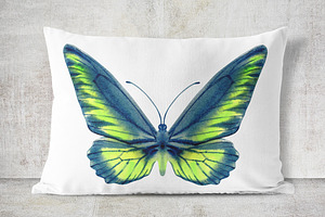 34 Watercolor Butterflies