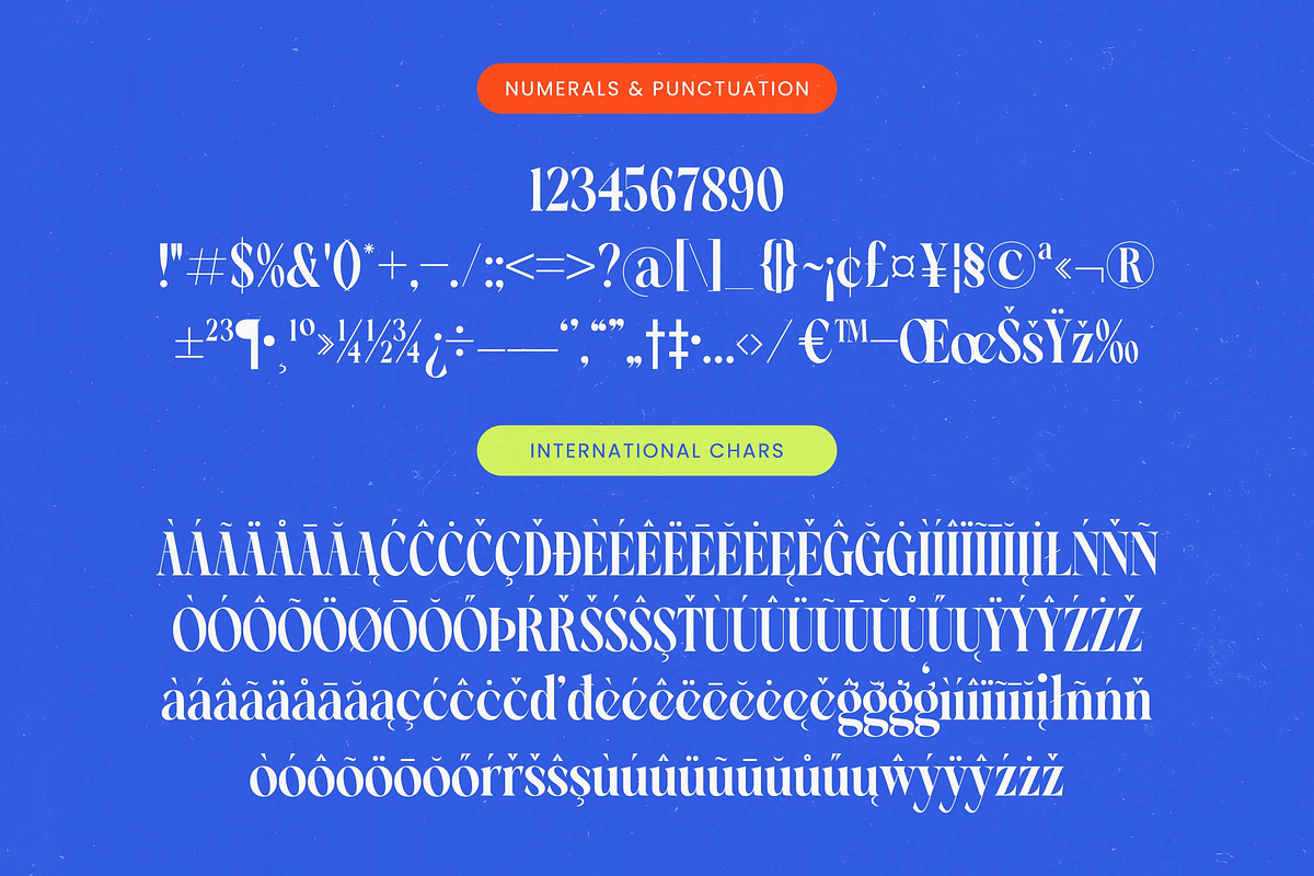 Blinky Kalmie Modern Alternate Serif, a Serif Font by timelesstype.co (Photo 18 of 20)