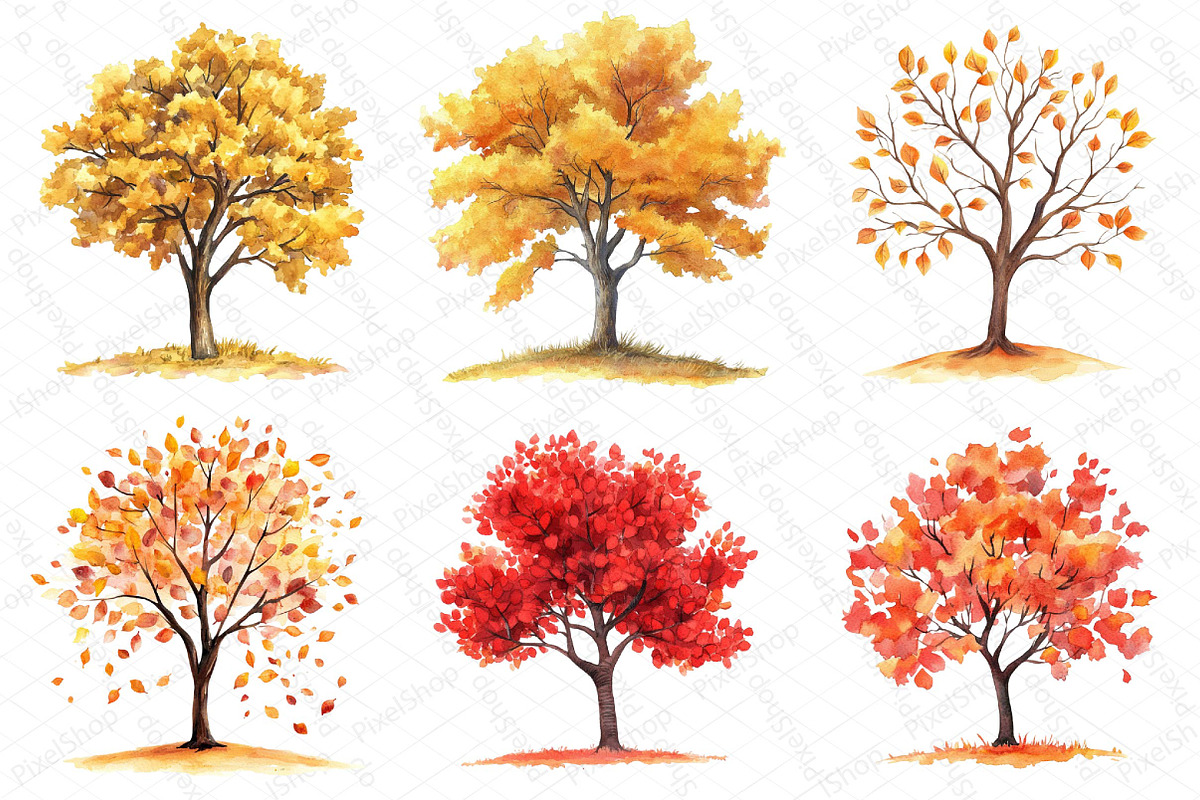 Watercolor Fall Autumn Tree Clipart, an Illustration by DreamPrint404 (Photo 3 of 6)