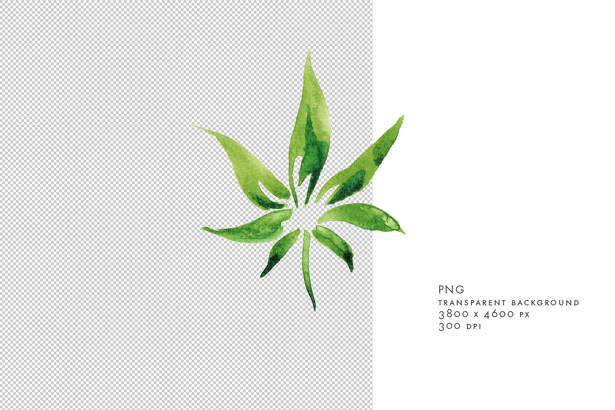 Watercolor Cannabis Leaf, an Object Graphic by Jeanina Vlad (Photo 2 of 3)