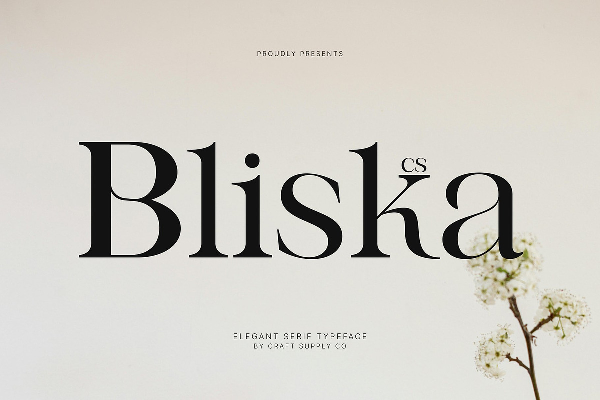 CS Bliska – Elegant Serif Font, a Serif Font by Craft Supply Co. (Photo 1 of 8)