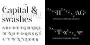 Operetta, a Serif Font by Synthview Type Design (Thumbnail 3 of 10)
