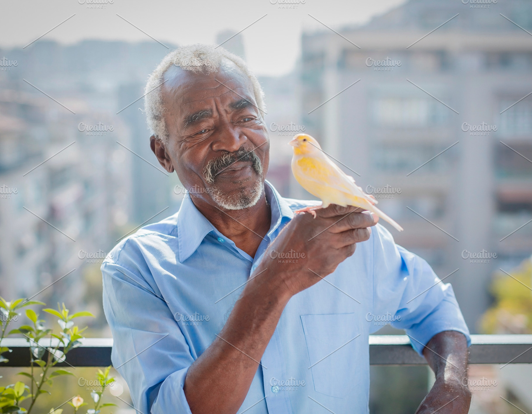 Elderly man holding yellow bird on balcony, a Person Photo by DanFLCreativo