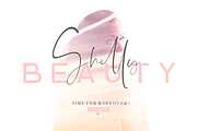 The Brittany / Font Trio, a Script Font by Sronstudio (Thumbnail 9 of 19)