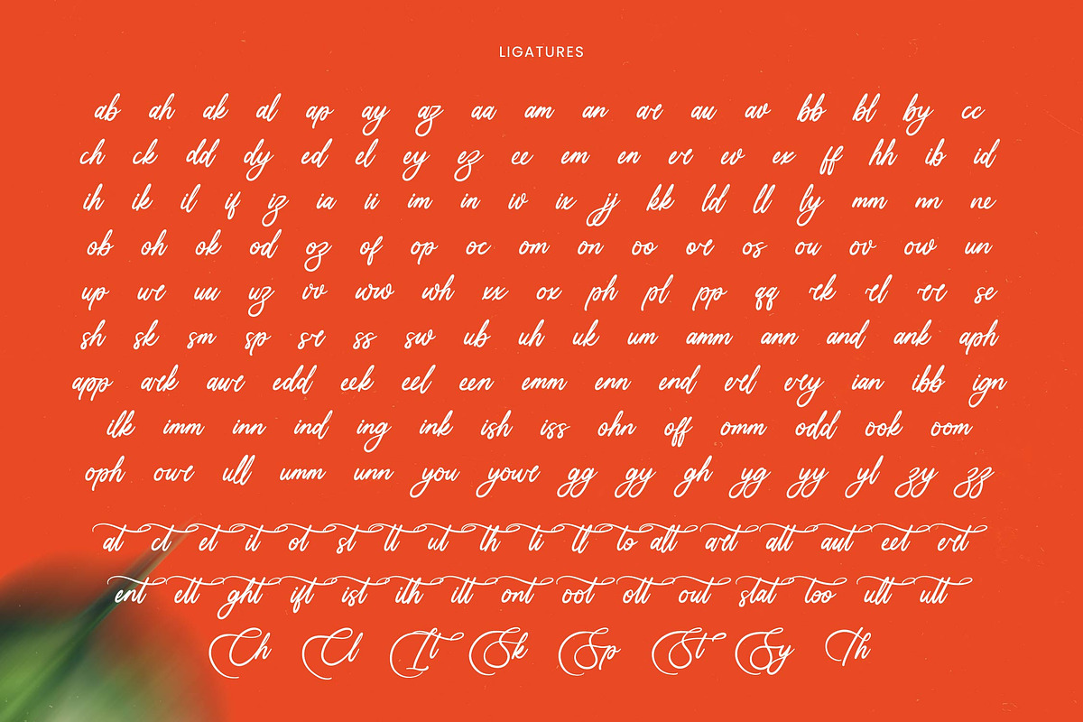 Uniquely Vifanite Bold Calligraphy, a Script Font by Letterena Studios Script (Photo 19 of 20)