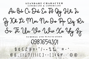 Calligraphy, a Handwritten Font by FreshTypeINK (Thumbnail 3 of 8)
