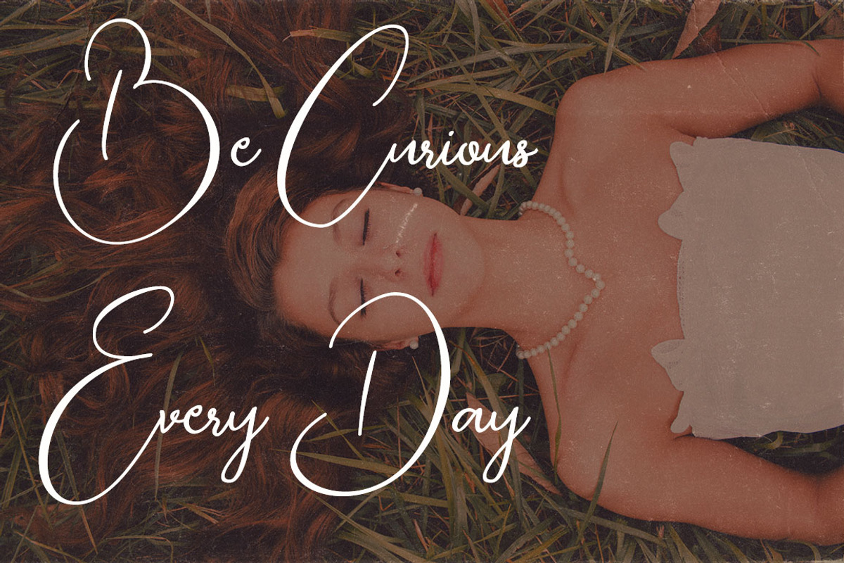 Bettina Script Font preview 3