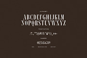 New Year Elegant Serif, a Serif Font by Graphicxell (Thumbnail 7 of 7)