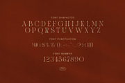 Asemok Elegant Serif Font, a Serif Font by Graphicxell (Thumbnail 8 of 8)