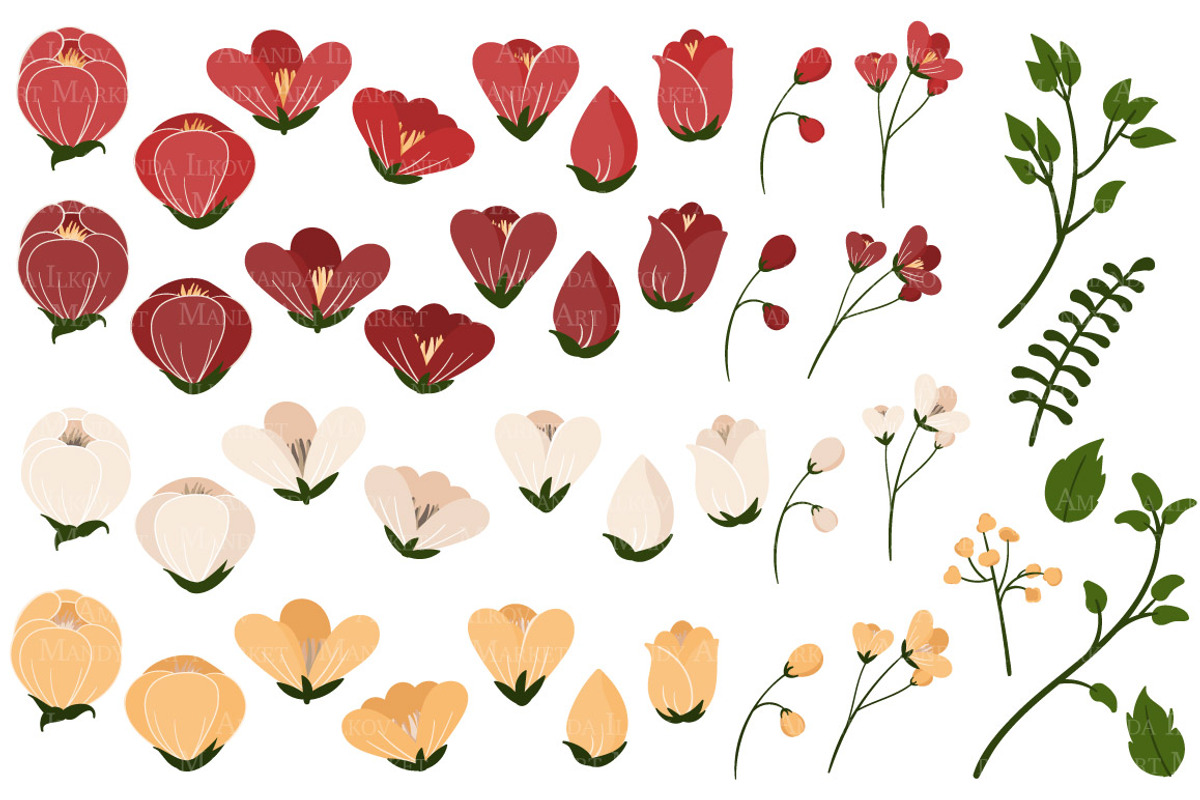 Christmas Flowers Clipart & Vectors, an Illustration by Amanda Ilkov (Photo 3 of 3)
