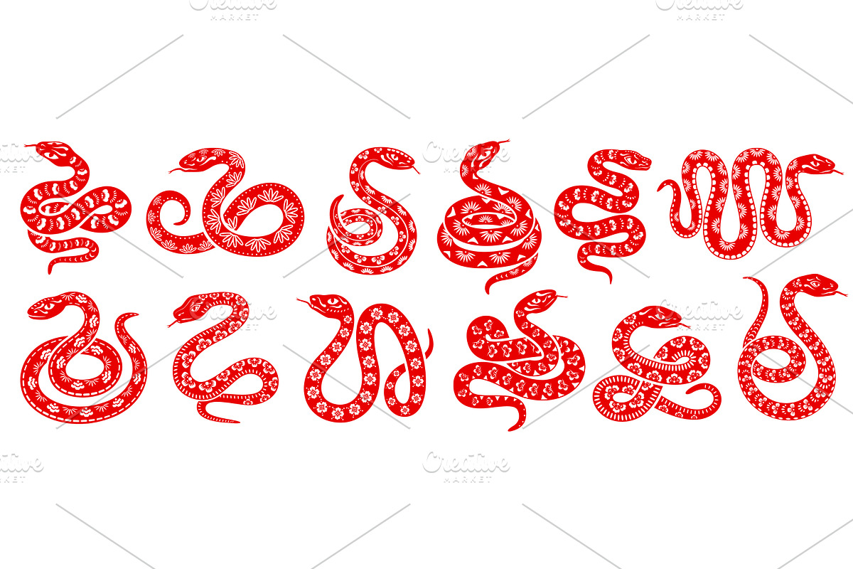 2025 Chinese snake reptiles, an Animal Illustration by Vector Tradition