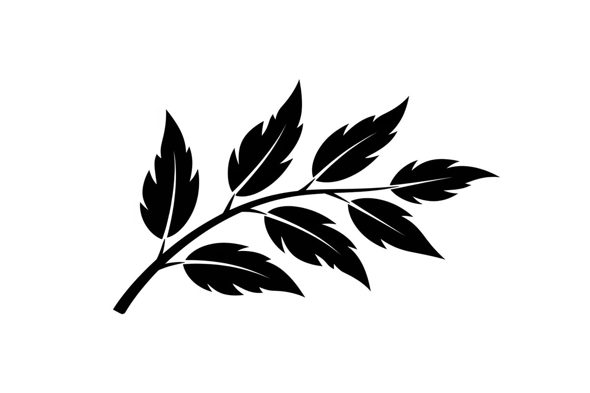 Botanical Leaf Silhouette Bundle, an Illustration by yasushie (Photo 46 of 51)